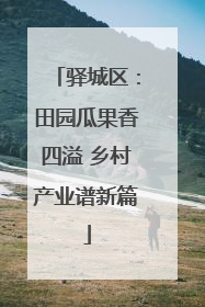 驿城区：田园瓜果香四溢 乡村产业谱新篇