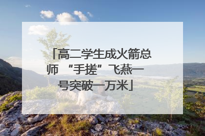 高二学生成火箭总师 “手搓”飞燕一号突破一万米