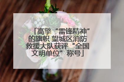 高擎“雷锋精神”的旗帜 望城区消防救援大队获评“全国文明单位”称号