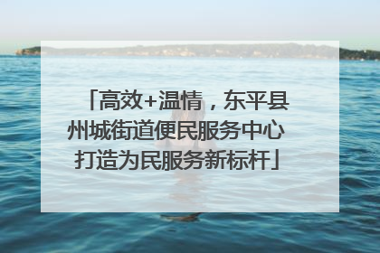 高效+温情，东平县州城街道便民服务中心打造为民服务新标杆