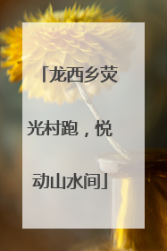龙西乡荧光村跑，悦动山水间