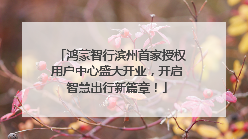 鸿蒙智行滨州首家授权用户中心盛大开业，开启智慧出行新篇章！