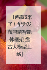 鸿蒙6来了！华为发布鸿蒙智能体框架 盘古大模型上新