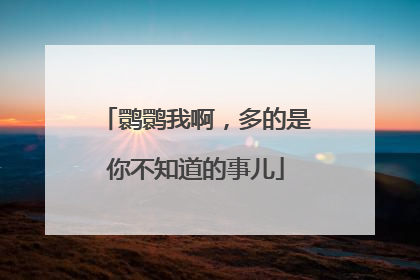 鹮鹮我啊，多的是你不知道的事儿
