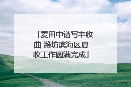 麦田中谱写丰收曲 潍坊滨海区夏收工作圆满完成