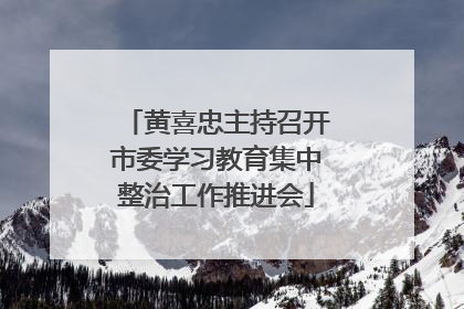 黄喜忠主持召开市委学习教育集中整治工作推进会