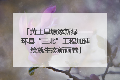 黄土旱塬添新绿——环县“三北”工程加速绘就生态新画卷