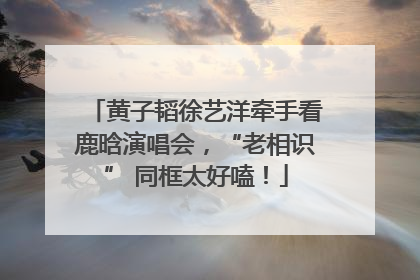 黄子韬徐艺洋牵手看鹿晗演唱会，“老相识” 同框太好嗑！