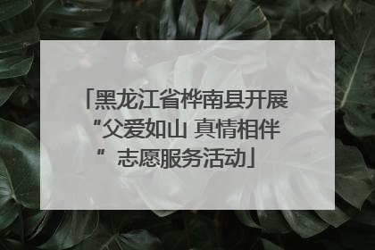 黑龙江省桦南县开展“父爱如山 真情相伴”志愿服务活动