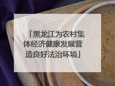 黑龙江为农村集体经济健康发展营造良好法治环境