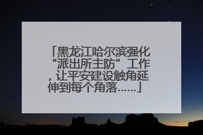 黑龙江哈尔滨强化“派出所主防”工作，让平安建设触角延伸到每个角落……