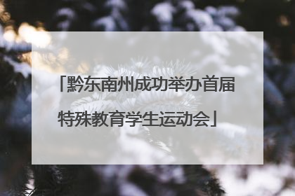 黔东南州成功举办首届特殊教育学生运动会