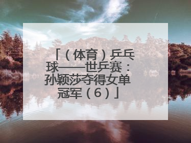 （体育）乒乓球——世乒赛：孙颖莎夺得女单冠军（6）
