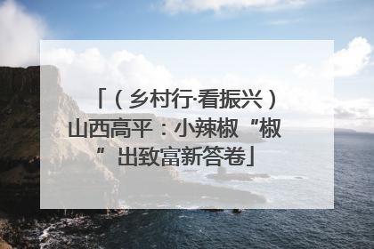 （乡村行·看振兴）山西高平：小辣椒“椒”出致富新答卷