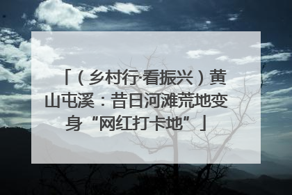 （乡村行·看振兴）黄山屯溪：昔日河滩荒地变身“网红打卡地”