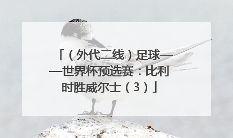 （外代二线）足球——世界杯预选赛：比利时胜威尔士（3）