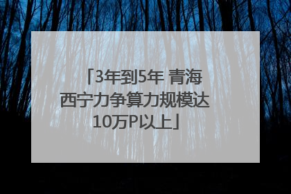 3年到5年 青海西宁力争算力规模达10万P以上