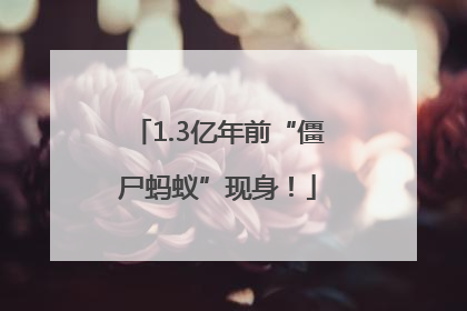 1.3亿年前“僵尸蚂蚁”现身！