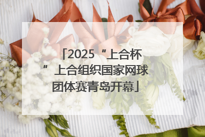 2025“上合杯”上合组织国家网球团体赛青岛开幕