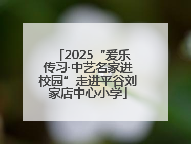 2025“爱乐传习·中艺名家进校园”走进平谷刘家店中心小学