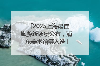 2025上海最佳旅游新场景公布，浦东美术馆等入选