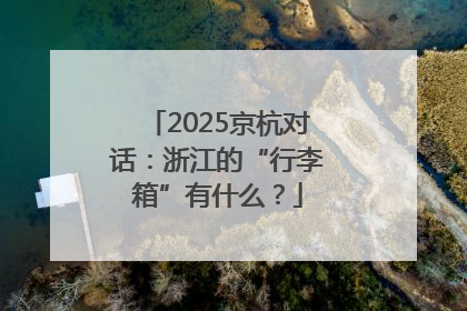 2025京杭对话：浙江的“行李箱”有什么？
