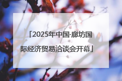 2025年中国·廊坊国际经济贸易洽谈会开幕