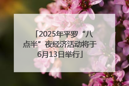 2025年平罗“八点半”夜经济活动将于6月13日举行