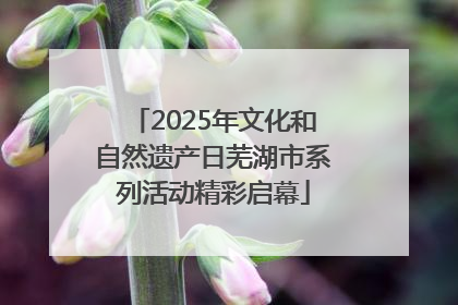 2025年文化和自然遗产日芜湖市系列活动精彩启幕