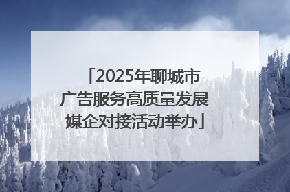 2025年聊城市广告服务高质量发展媒企对接活动举办