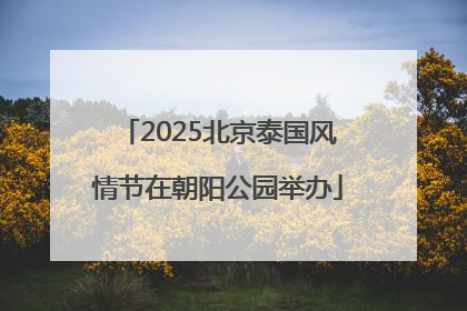 2025北京泰国风情节在朝阳公园举办