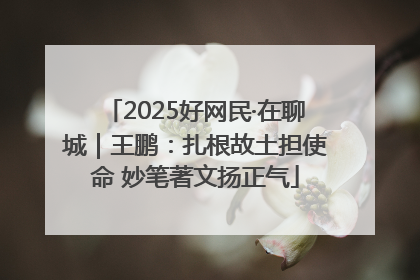 2025好网民·在聊城｜王鹏：扎根故土担使命 妙笔著文扬正气