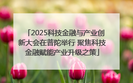 2025科技金融与产业创新大会在普陀举行 聚焦科技金融赋能产业升级之策