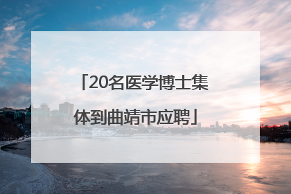 20名医学博士集体到曲靖市应聘