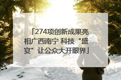274项创新成果亮相广西南宁 科技“盛宴”让公众大开眼界