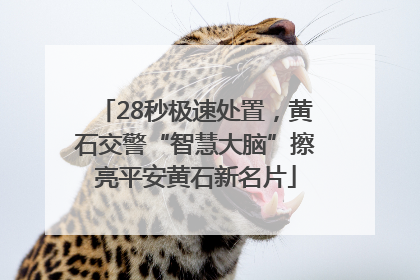 28秒极速处置，黄石交警“智慧大脑”擦亮平安黄石新名片