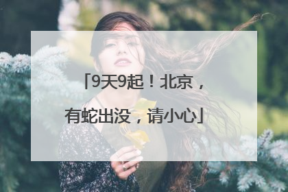 9天9起！北京，有蛇出没，请小心