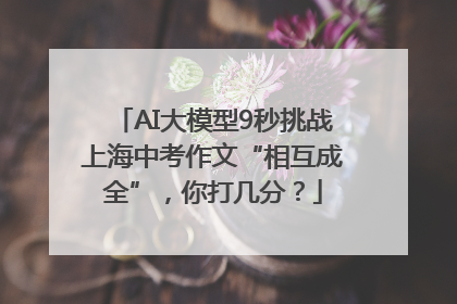 AI大模型9秒挑战上海中考作文“相互成全”，你打几分？