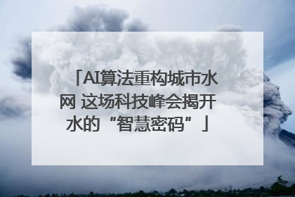 AI算法重构城市水网 这场科技峰会揭开水的“智慧密码”