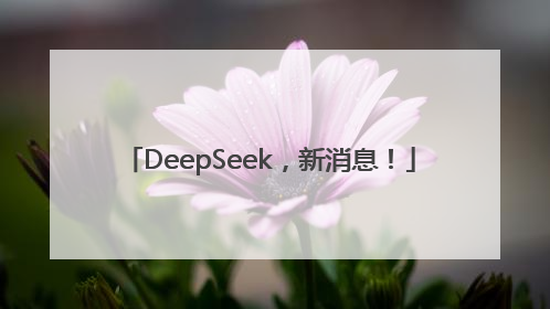 DeepSeek，新消息！